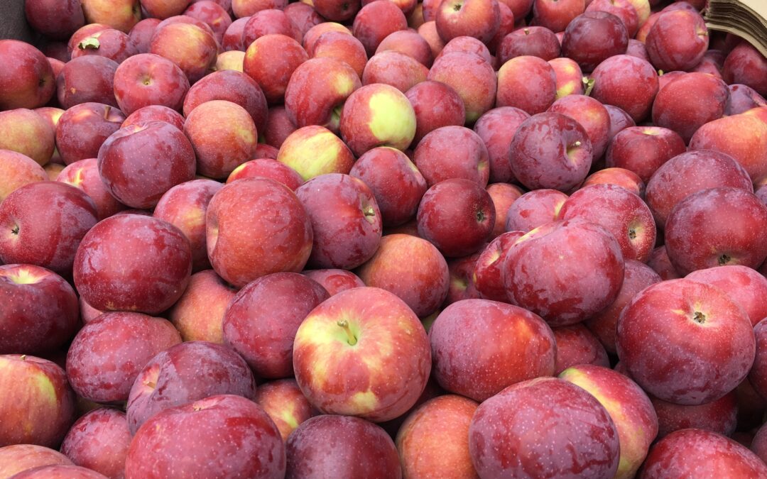 The New York State Pollinator Protection Plan: What Does This Mean For Apple Growers?